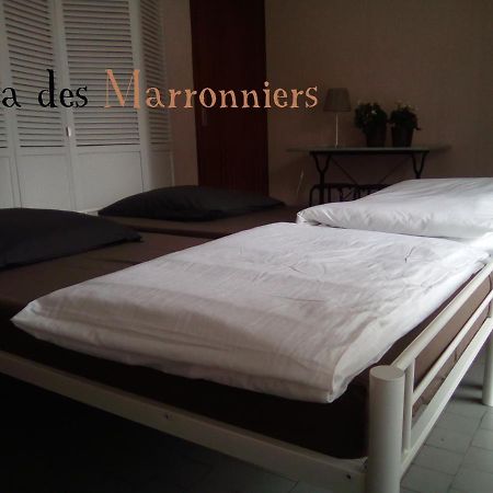 Villa Des Marronniers Mirande (Gers) Exterior foto